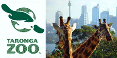 Taronga Zoo